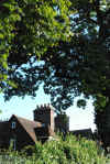 26roofscape3.jpg (548513 bytes)