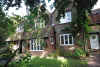 Front garden2.jpg (615562 bytes)
